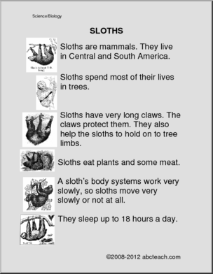 Comprehension: Sloths (primary/elem)