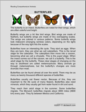 Comprehension: Butterflies (elementary)