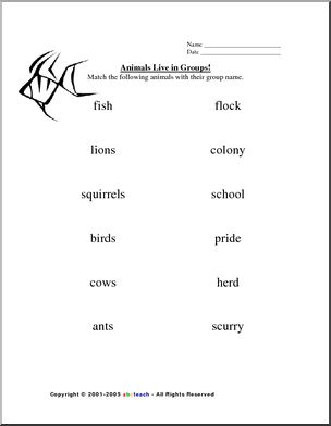 Collective Nouns- Animals (primary) Worksheet