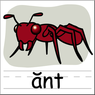 Clip Art: Basic Words: Ant Color Labeled