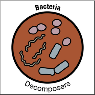 Clip Art: Soil Ecology Icons: Bacteria Color