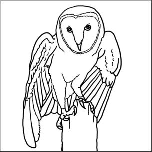 Clip Art: Barn Owl B&W