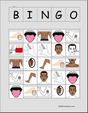 Bingo: Body Parts, card set D (ESL)