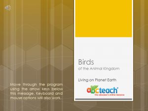 PowerPoint: Presentation with Audio: Animal Kingdom: Birds  (multi-age)