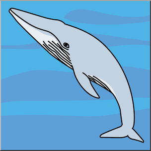 Clip Art: Whale: Blue Whale Color