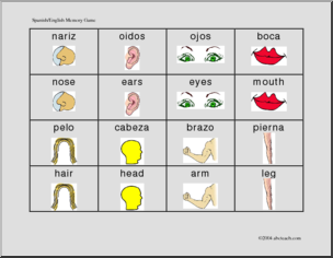 Memory Game: Body (Spanish/English) – Abcteach