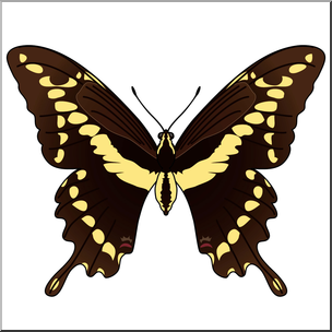 Clip Art: Butterfly: Giant Swallowtail Color