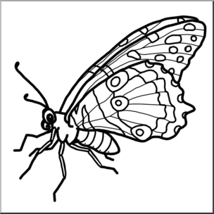 Clip Art: Butterfly 01 B&W