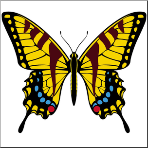 Clip Art: Butterfly: Tiger Swallowtail Color