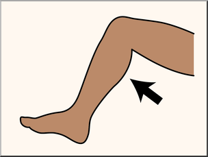 Clip Art: Parts of the Body: Calf Color Unlabeled