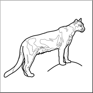 Clip Art: Big Cats: Cougar B&W