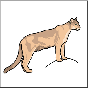 Clip Art: Big Cats: Cougar Color 1 – Abcteach