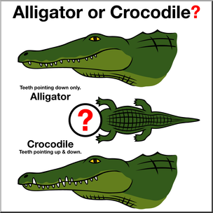 Clip Art: Alligator or Crocodile? 1 Color – Abcteach