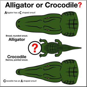 Clip Art: Alligator or Crocodile? 2 Color – Abcteach