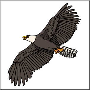 Clip Art: Bald Eagle 3 Color 2 – Abcteach