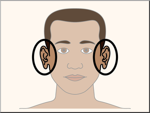Clip Art: Parts of the Body: Ears Color Labeled