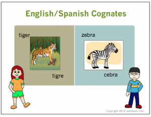 PowerPoint Presentation: Cognates: English/Spanish – Animals