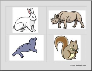 Flashcards: Animals–rabbit, rhino, seal, squirrel (ESL)