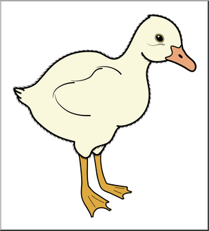 baby goose clipart