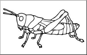 Clip Art: Insects: Grasshopper B&W