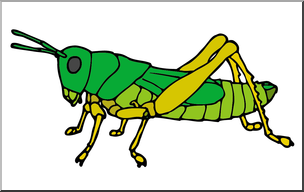 Clip Art: Insects: Grasshopper Color