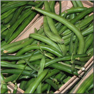 Photo: Green Beans 01b LowRes