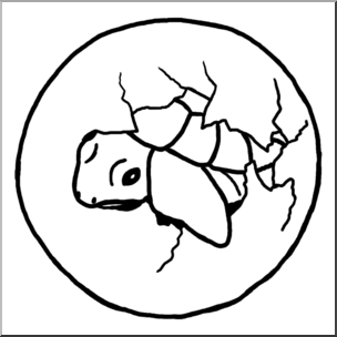 Clip Art: Sea Turtle Hatchling B&W – Abcteach