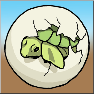 Clip Art: Sea Turtle Hatchling Color – Abcteach