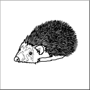 Clip Art: Hedgehog B&W