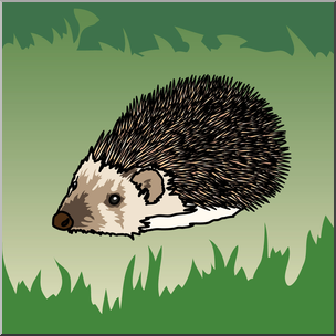 Clip Art: Hedgehog Color 1