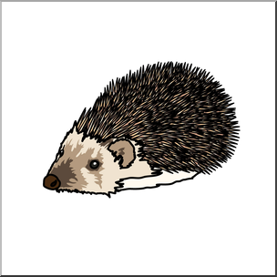 Clip Art: Hedgehog Color 2 – Abcteach