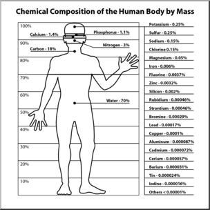 Clip Art: Human Body Chemical Composition B&W