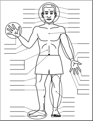 Clip Art: Human Body: Front View B&W Unlabeled – Abcteach