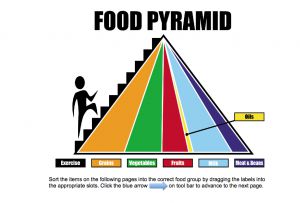 Interactive: Notebook: Category Sort-Food Pyramid