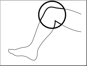 Clip Art: Parts Of The Body: Knee B&W Unlabeled – Abcteach