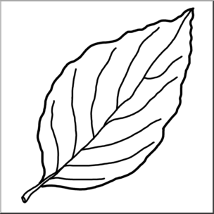 Clip Art: Leaf: Dogwood B&W – Abcteach