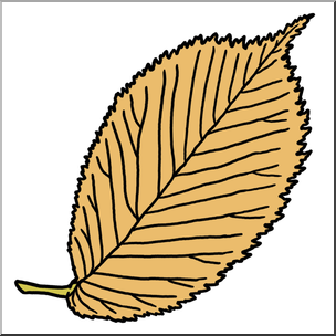 Clip Art: Leaf: Elm Autumn Color