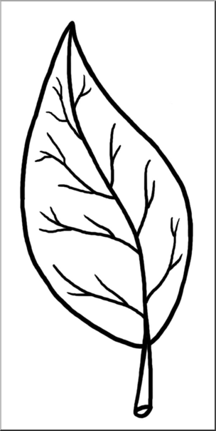 Clip Art: Leaf Parts B&W Unlabeled – Abcteach