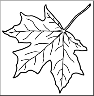 Clip Art: Leaf: Sugar Maple B&W – Abcteach