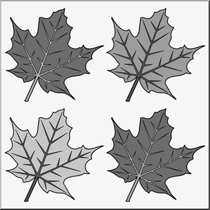 Clip Art: Maple Leaves Grayscale