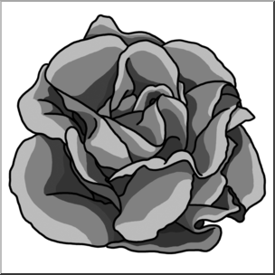 Clip Art: Lettuce Grayscale