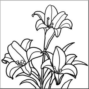 Clip Art: Lilies B&W – Abcteach