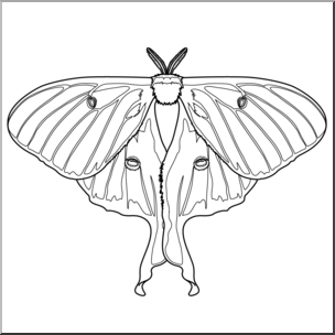 Clip Art: Moth: Luna B&W