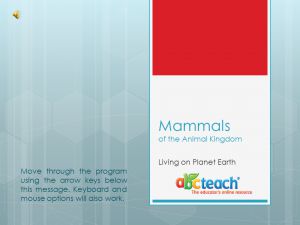 PowerPoint: Presentation with Audio: Animal Kingdom: Mammals  (multi-age)