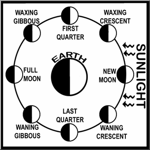 Clip Art: Phases of the Moon Diagram B&W