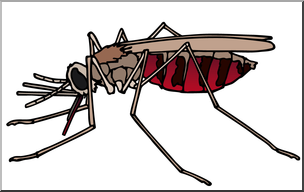 Clip Art: Insects: Mosquito Color