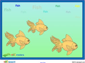 Interactive: Notebook: Animals- Fish Sort and Facts