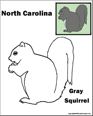 North Carolina: State Animal – Gray Squirrel – Abcteach