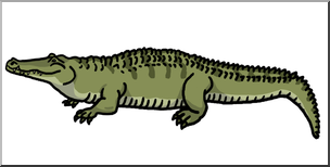 nile crocodile clipart image