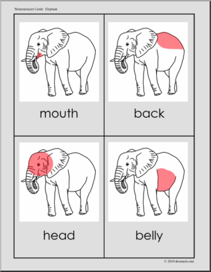 Nomenclature: Animal Anatomy Elephant (red-highlight)
